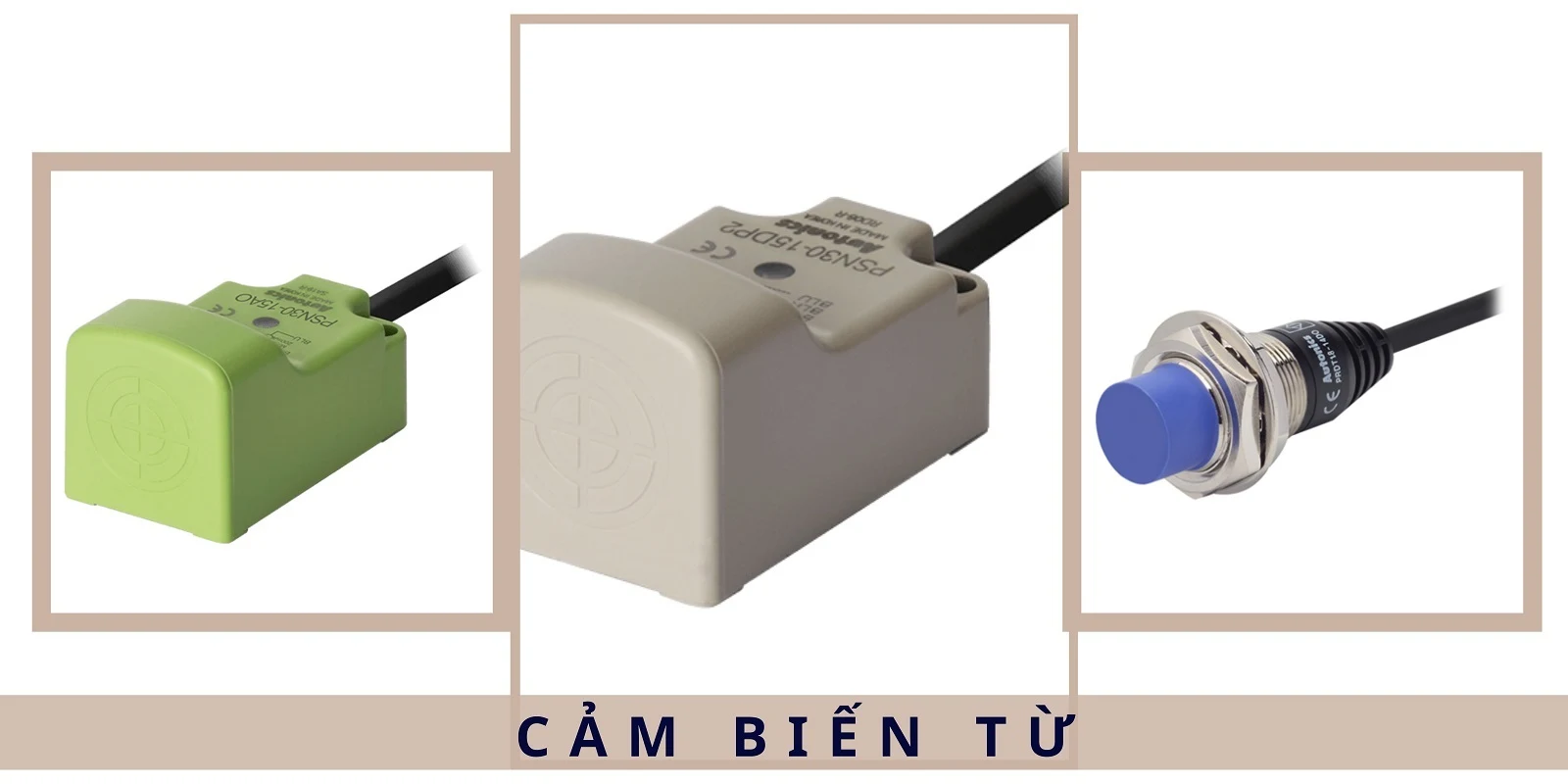 cau-tao-va-dat-diem cau-tao-va-dat-diem