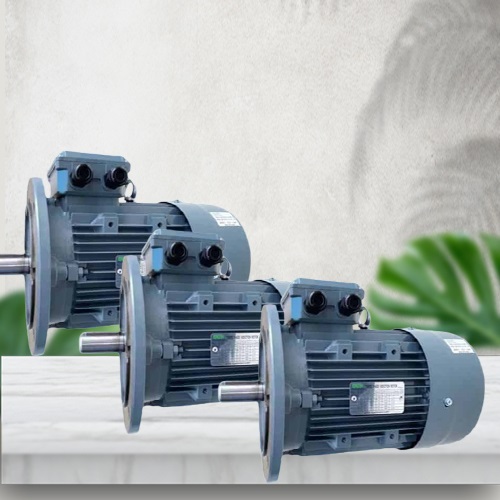 SGP 355L-2-280KW-B5 -  Động cơ điện 3 pha công suất 280kW