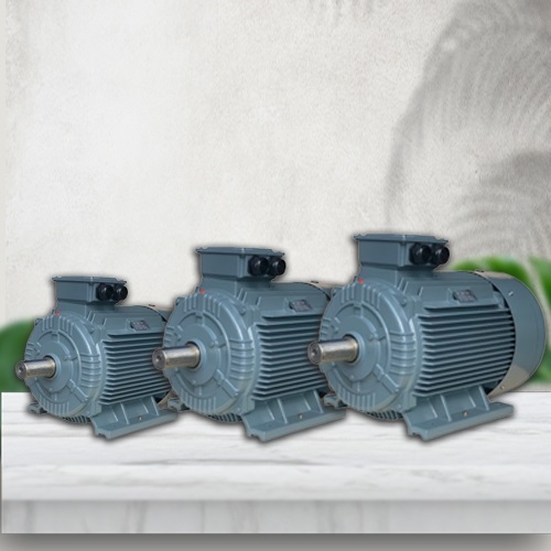 SGP 355M-4-250KW-B3 -  Động cơ điện 3 pha công suất 250kW